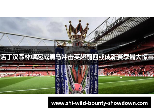诺丁汉森林崛起成黑马冲击英超前四或成新赛季最大惊喜 诺丁汉森林崛起成黑马冲击英超前四或成新赛季最大惊喜