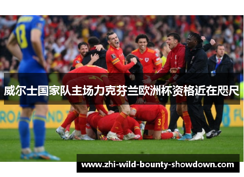 威尔士国家队主场力克芬兰欧洲杯资格近在咫尺