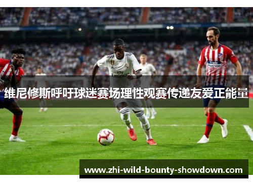 维尼修斯呼吁球迷赛场理性观赛传递友爱正能量