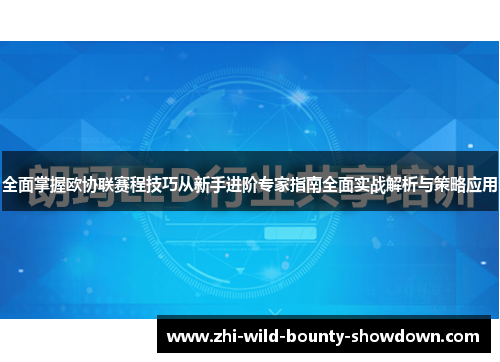全面掌握欧协联赛程技巧从新手进阶专家指南全面实战解析与策略应用