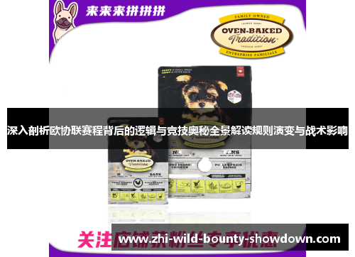 深入剖析欧协联赛程背后的逻辑与竞技奥秘全景解读规则演变与战术影响