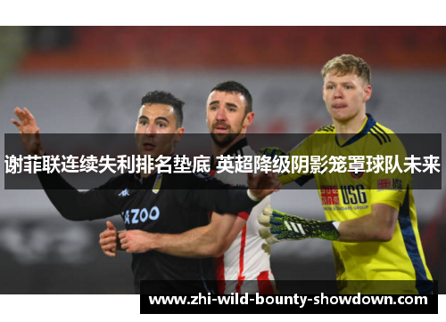 谢菲联连续失利排名垫底 英超降级阴影笼罩球队未来