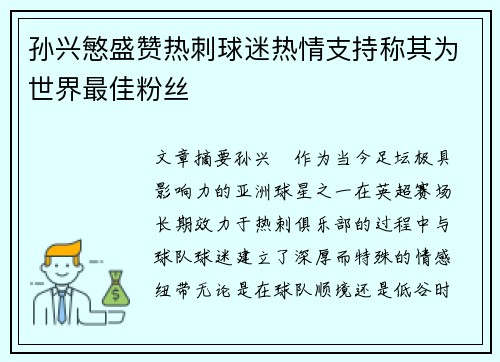 孙兴慜盛赞热刺球迷热情支持称其为世界最佳粉丝